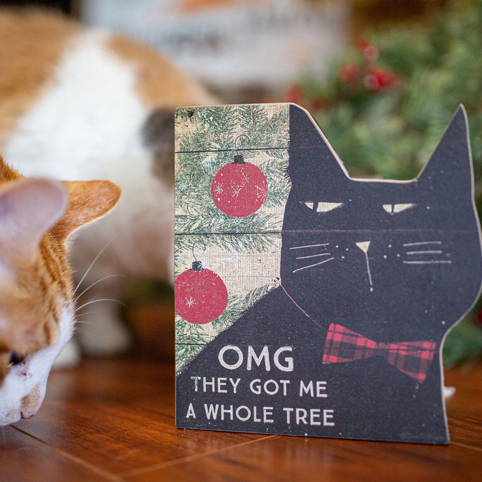 Funny Cat Christmas Shelf Sitter